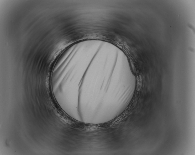 X0000091490098200709131838