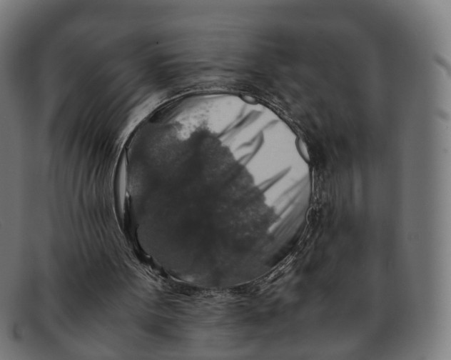 X0000091490099200709131838