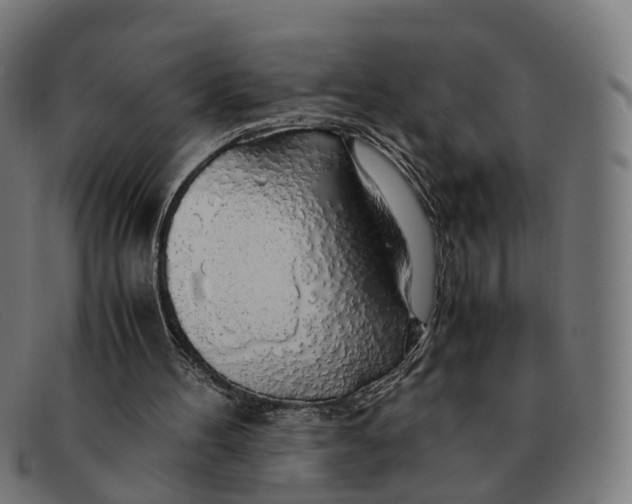 X0000091490100200709131838