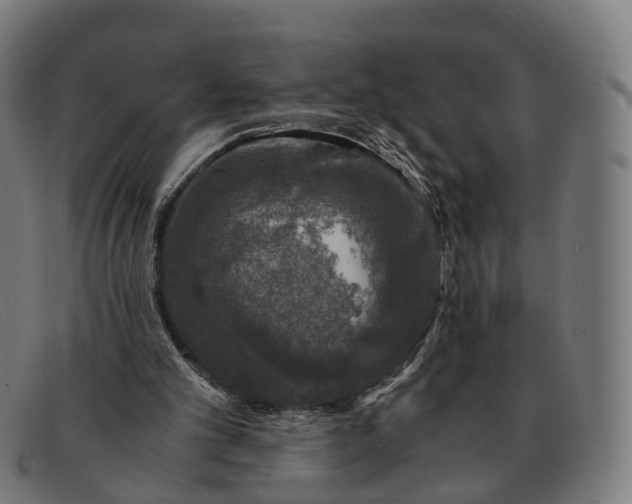 X0000091490101200709131838