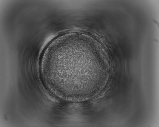 X0000091490102200709131838