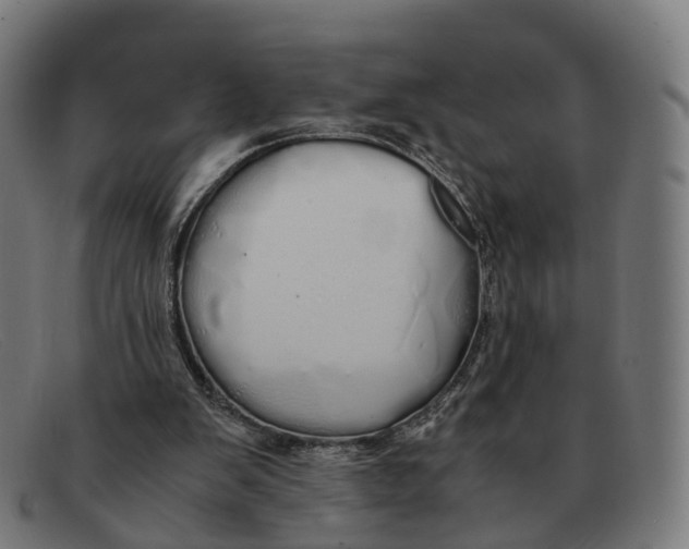 X0000091490103200709131838