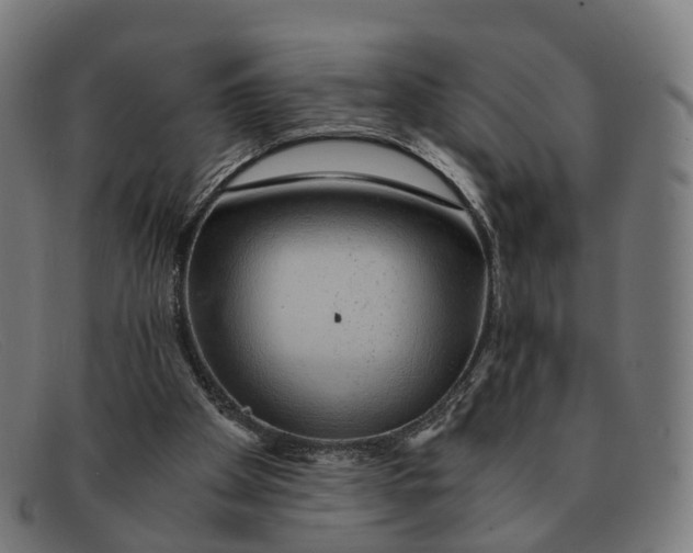 X0000091490105200709131838