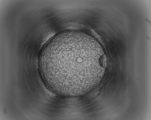 X0000091490106200709131838