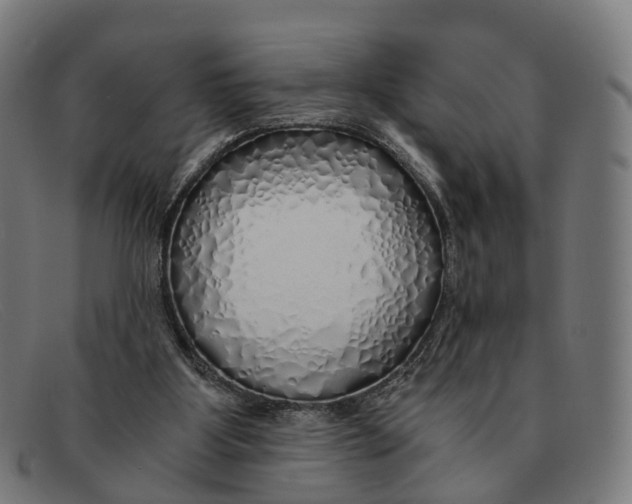 X0000091490107200709131838