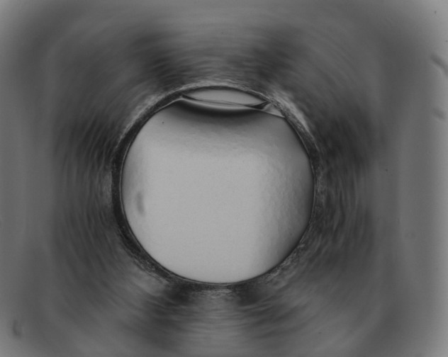 X0000091490108200709131838