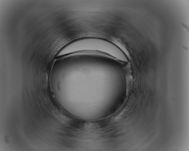 X0000091490109200709131838