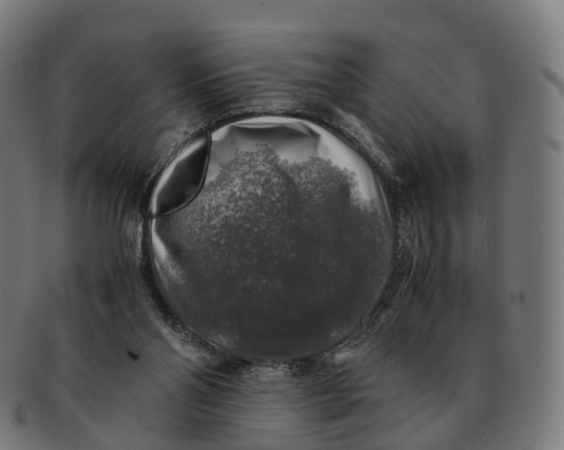X0000091490110200709131838
