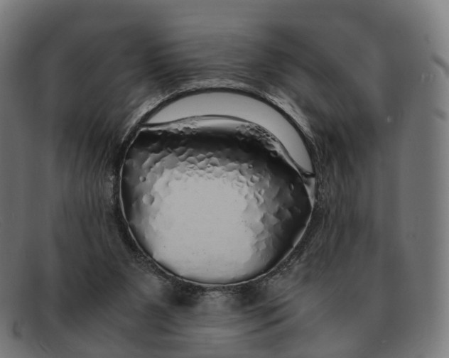X0000091490111200709131838