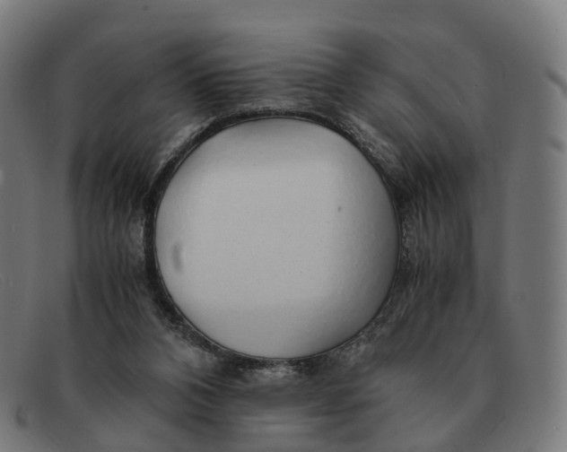 X0000091490112200709131838