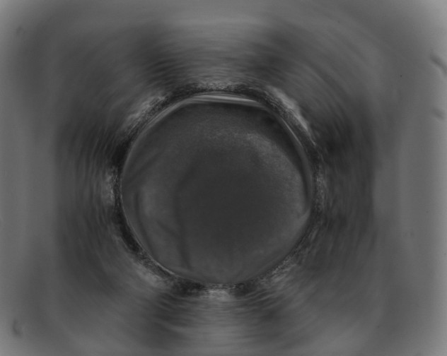 X0000091490114200709131838