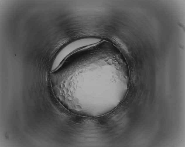 X0000091490115200709131838
