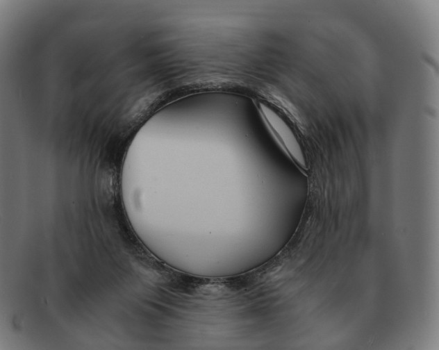 X0000091490119200709131838