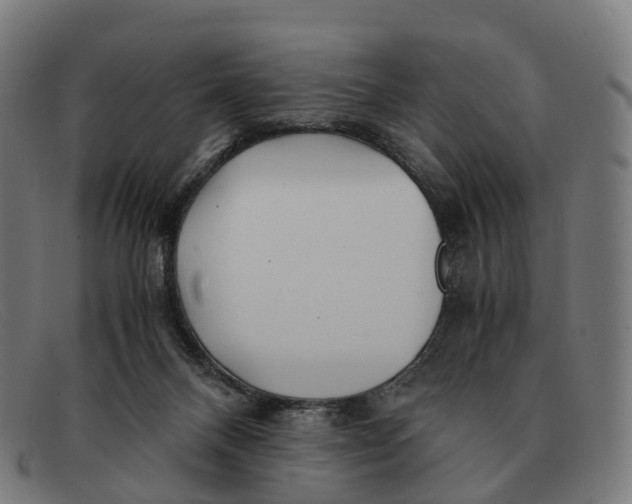 X0000091490120200709131838