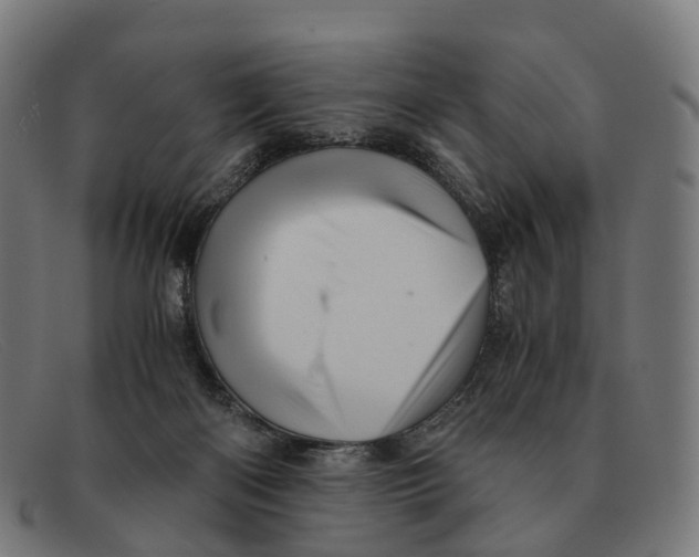 X0000091490122200709131838