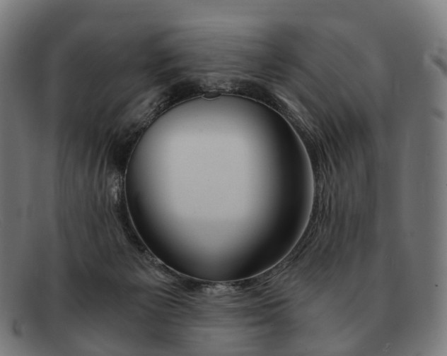 X0000091490125200709131838