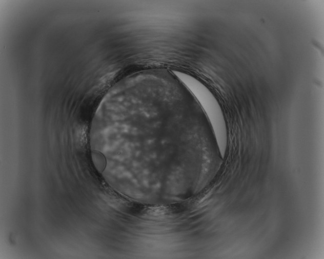 X0000091490127200709131838