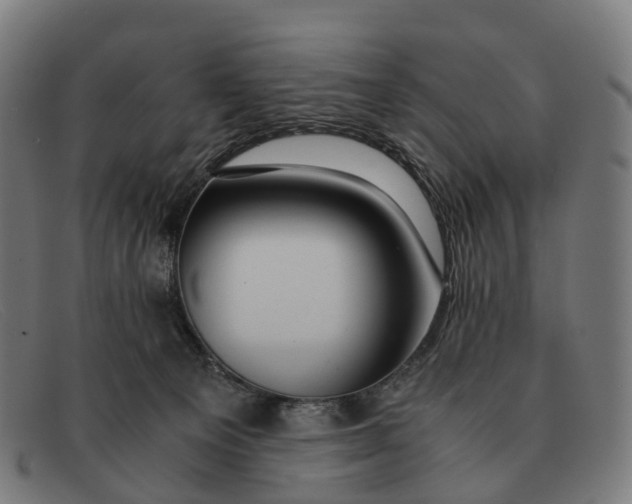 X0000091490129200709131838