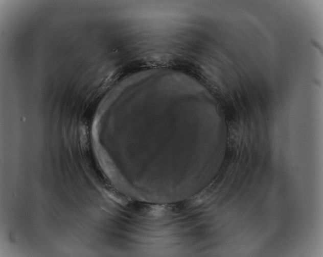 X0000091490130200709131838