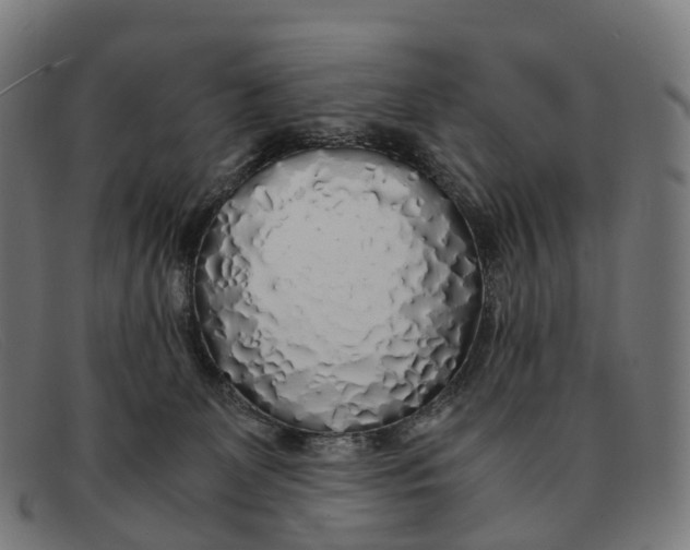 X0000091490131200709131838