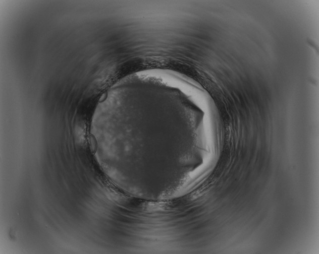 X0000091490134200709131838