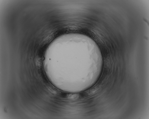 X0000091490135200709131838