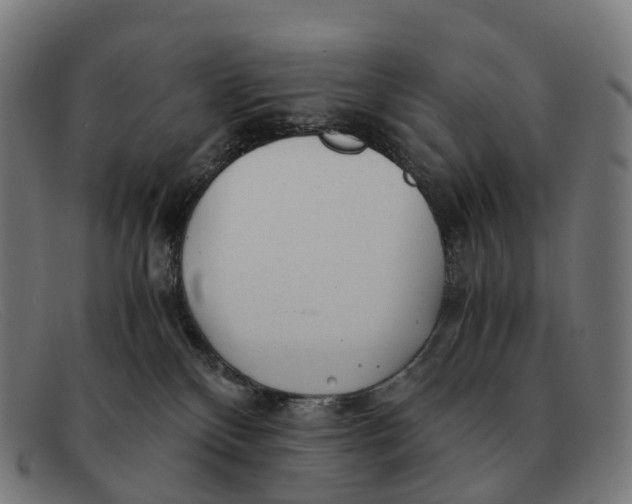 X0000091490136200709131838