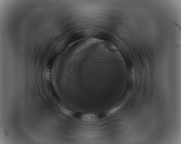X0000091490137200709131838