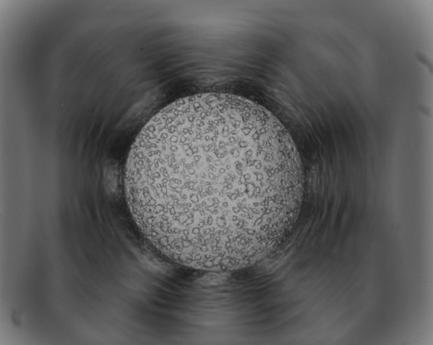 X0000091490138200709131838