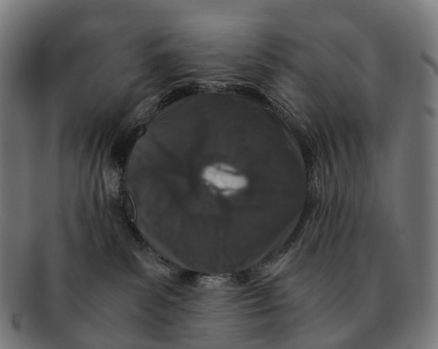 X0000091490139200709131838