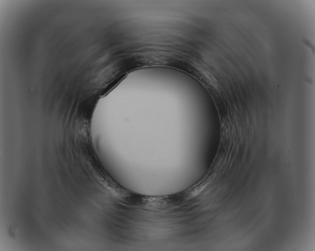 X0000091490141200709131838