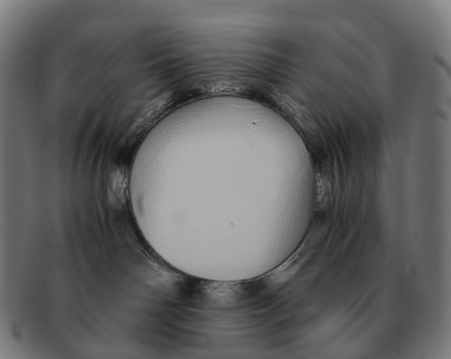X0000091490142200709131838