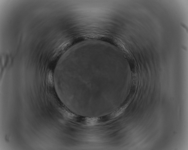X0000091490143200709131837