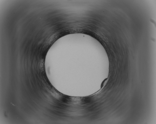 X0000091490144200709131837