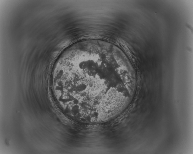 X0000091490145200709131837
