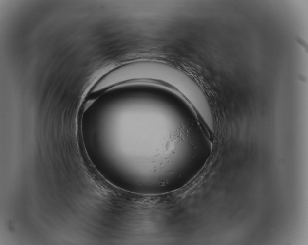 X0000091490148200709131837