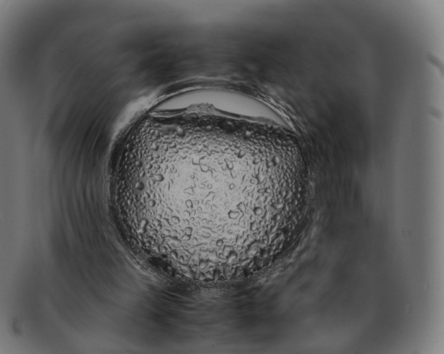 X0000091490149200709131837
