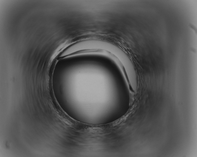 X0000091490150200709131837
