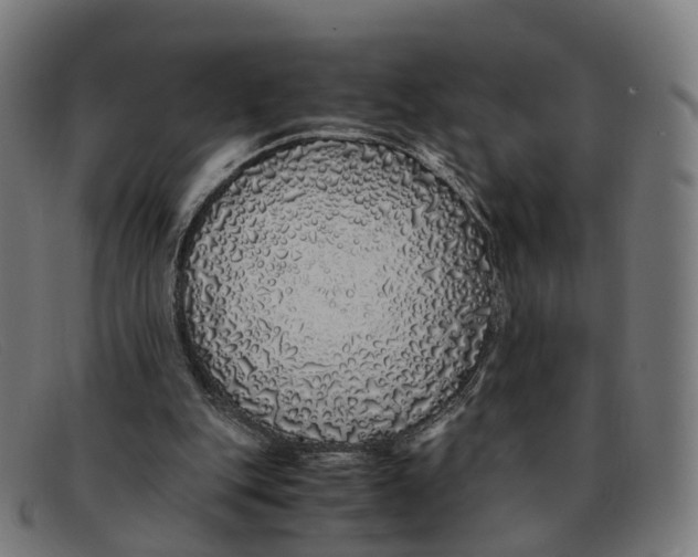 X0000091490151200709131837