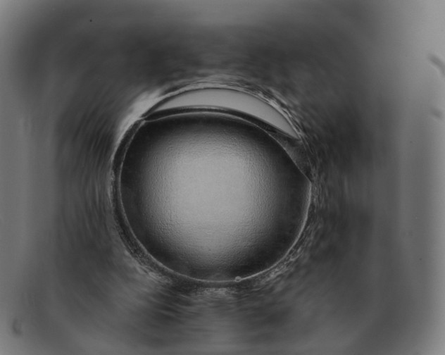 X0000091490152200709131837