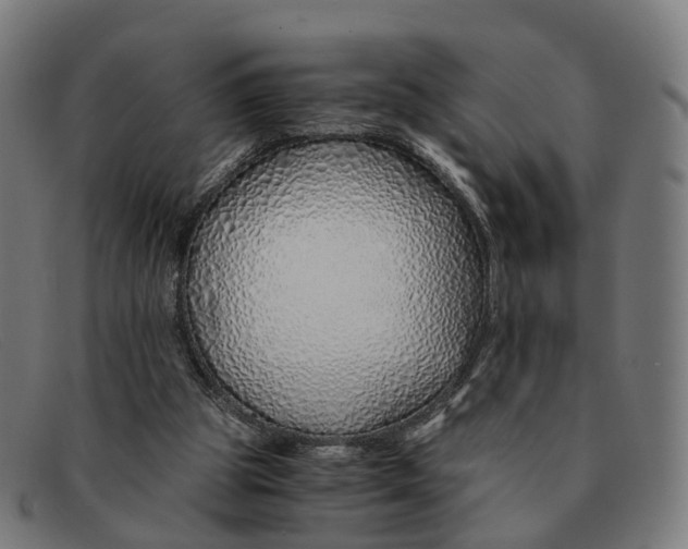 X0000091490153200709131837