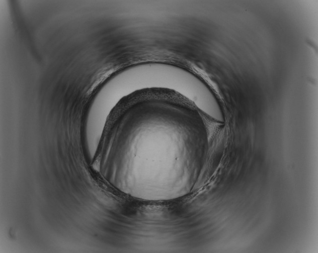 X0000091490154200709131837