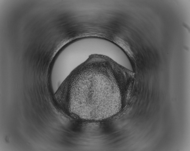 X0000091490156200709131837