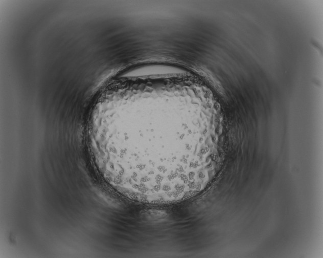 X0000091490159200709131837