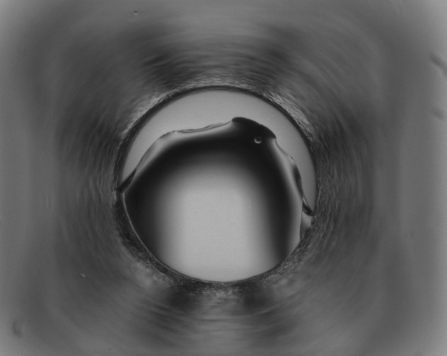 X0000091490160200709131837