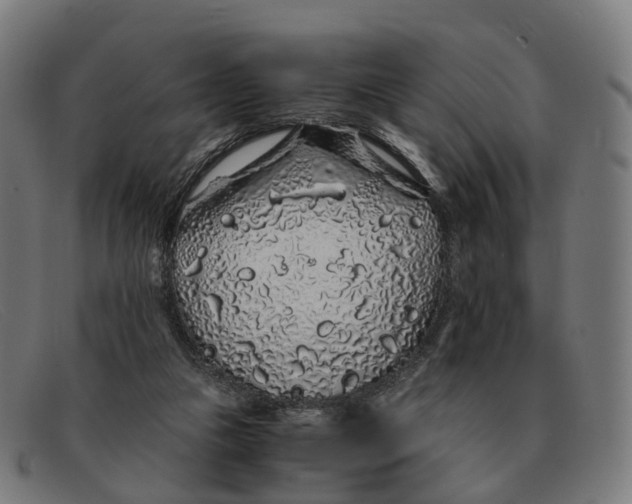 X0000091490161200709131837