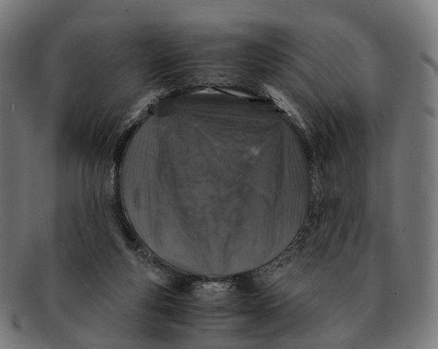 X0000091490163200709131837