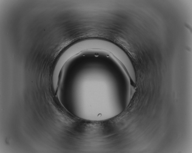 X0000091490164200709131837