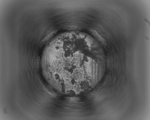 X0000091490165200709131837