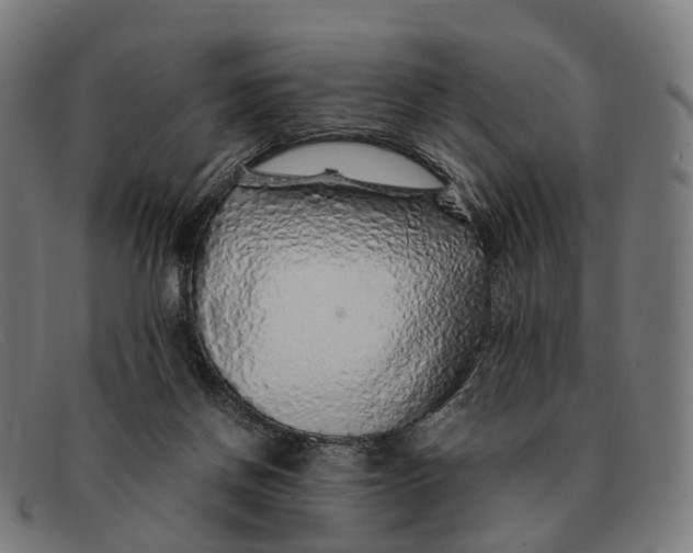 X0000091490166200709131837